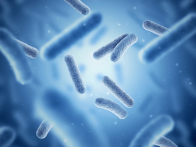 bacterial growth garbage disposal