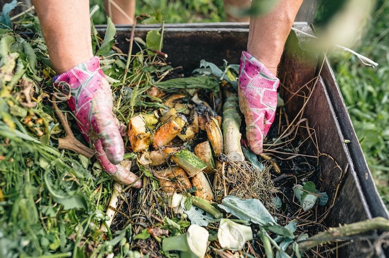 compost disposal