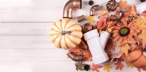 Holiday hosting plumbing