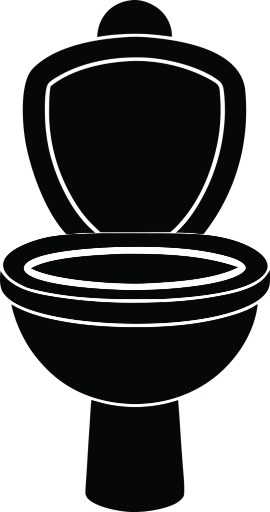 toilet trouble flappers fail